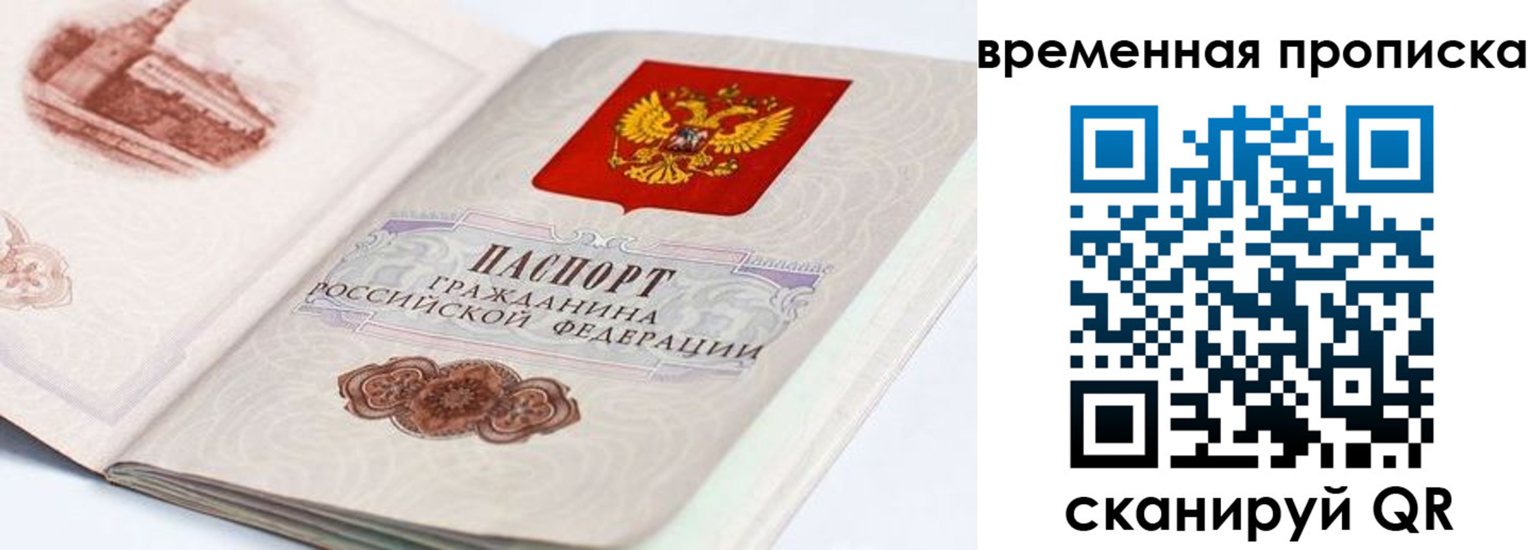 прописка 2025 в Опочке