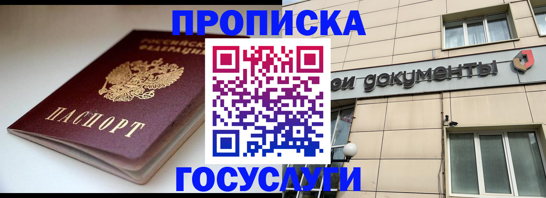 временная регистрация госуслуги в Опочке